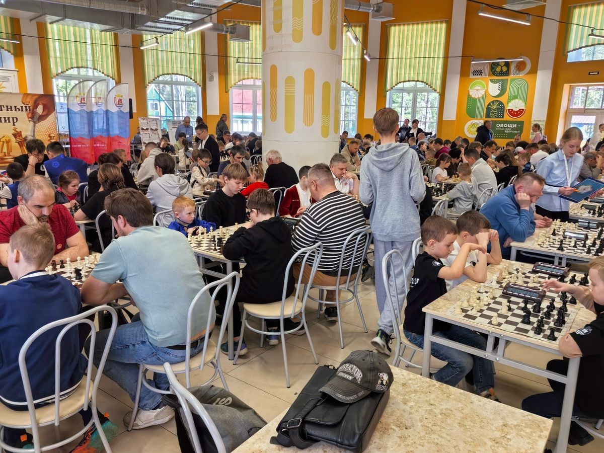 Большой турнирный зал: десятки досок, дети и взрослые играют